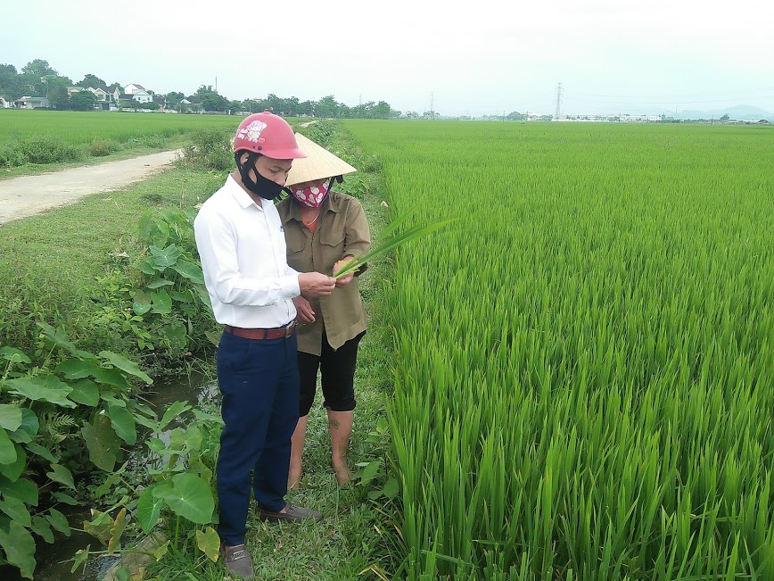 Xóm trưởng kiêm bí thư chi bộ gương mẫu, trách nhiệm